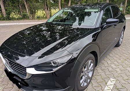 Mazda CX-30 150 PS | BOSE | LED | 360° | 8-fach bereif