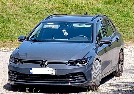 VW Golf Volkswagen 1.0 TSI OPF Life Variant Life