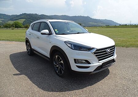 Hyundai Tucson Premium Mild-Hybrid 4WD Klima Sitzhz Temp