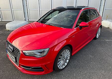 Audi A3 1.4 TFSI e-tron S tronic Vollausstattung B&O