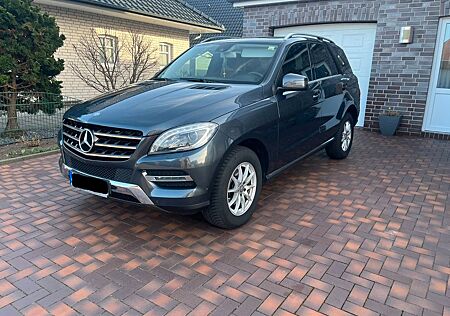 Mercedes-Benz ML 350 BlueTEC 4MATIC, AHK