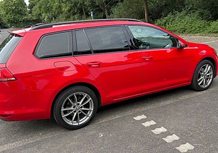 VW Golf Volkswagen 1.6 TDI DSG BMT Trendline Variant Trendline