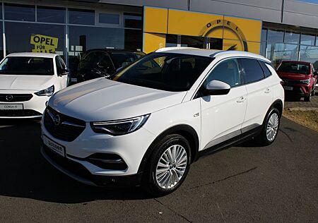 Opel Grandland X Grandland (X) Business INNOVATION,Leder,Bi-LED