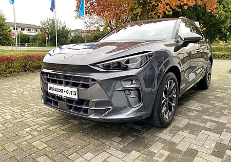 Cupra Terramar gebraucht kaufen Cupra Terramar 1.5 eTSI Matrix DCC Navi el.HK 360°Kam