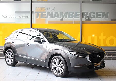 Mazda CX-3 CX-30 Selection 2WD Matrix Bose HuD Navi SR + WR