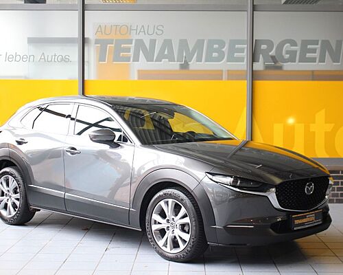 Mazda CX-30 Selection 2WD Matrix Bose HuD Navi SR + WR