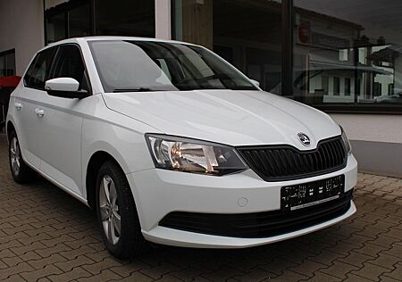 Skoda Fabia 1.0TSI Cool Plus,Klima,DAB