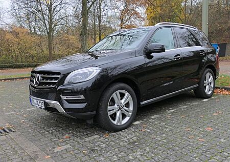 Mercedes-Benz ML 350 BlueTEC 4MATIC PANO AHK 8FachB
