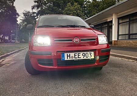 Fiat Panda 169 Neue Allwetterreifen
