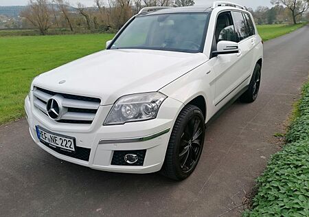 Mercedes-Benz GLK 200 CDI BlueEFFICIENCY -