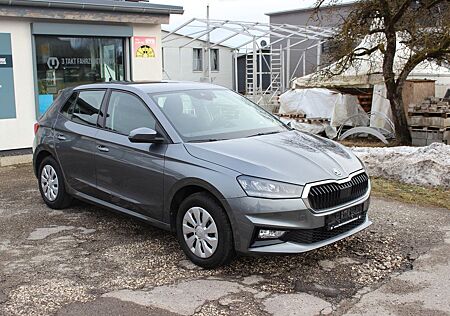 Skoda Fabia Selection+APP+Climatronic+5J.Garantie
