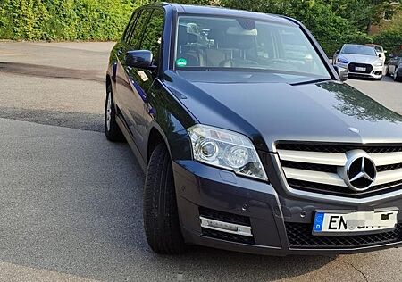 Mercedes-Benz GLK 220 CDI BlueEFFICIENCY