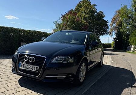 Audi A3 1.4 TFSI Sportback// 8-Fach bereift //
