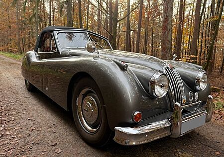Jaguar XK 140 DHC