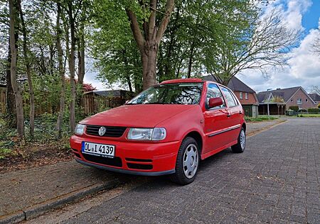 VW Polo Volkswagen 1.0 Basis