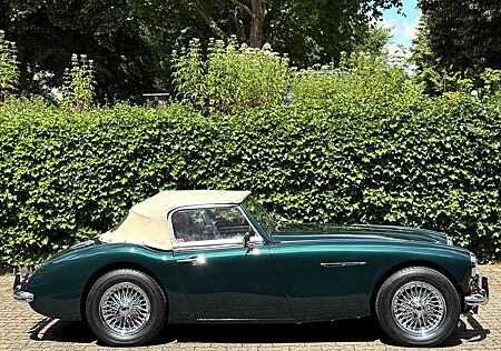Austin Healey Healey 100-Six BN4 6-Zylinder 4-Sitzer FIA Pass