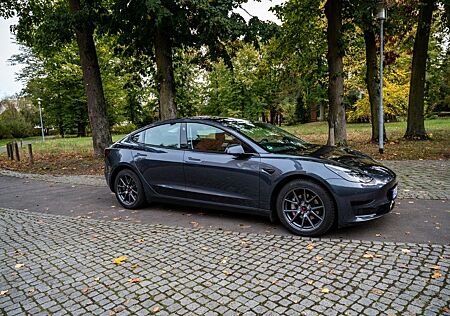 Tesla Model 3 Standard-Range Plus - AHK
