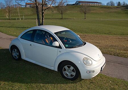 VW New Beetle Volkswagen 2.0 Standard