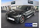 Alfa Romeo Giulia 2.9 V6 Bi-Turbo FLA SpurW SpurH Leder