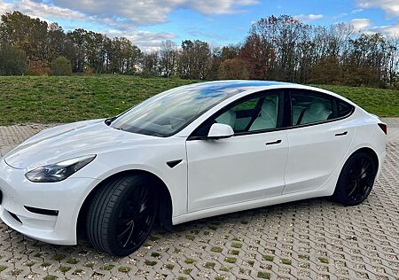 Tesla Model 3 gebraucht kaufen Tesla Model 3 Performance Dual AWD Premium weiß