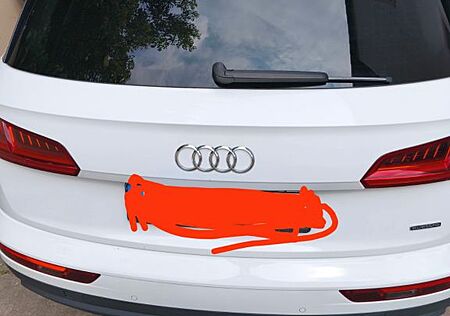 Audi Q5 40 TDI S tronic quattro design design