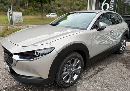 Mazda CX-30 Centre-Line + Design-Paket