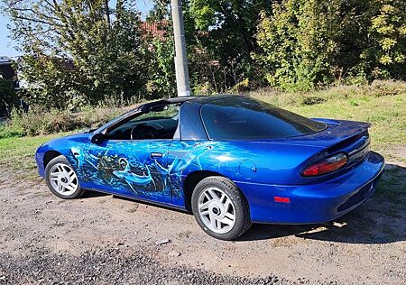 Chevrolet Camaro Z28 Hai Airbrush