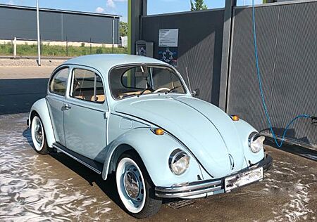 VW Käfer Volkswagen
