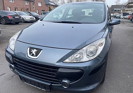 Peugeot 307 Grand Filou Cool ( IM KUNDEN AUFTRAG