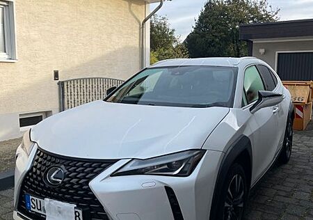 Lexus UX 250h