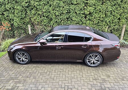 Lexus GS 300 GS300h Luxury + Wood open pore cabin insert