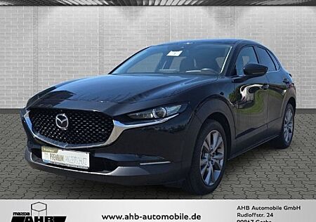 Mazda CX-30 122PS 2.0 AWD 6GS HUD Bose Leder Memory Si