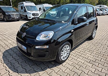 Fiat Panda | 5 Sitzer | Radio | PDC | Tempomat
