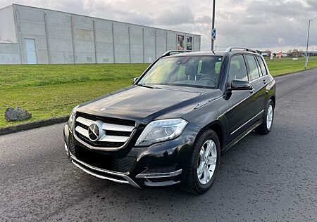 Mercedes-Benz GLK 250 BlueTEC 4MATIC Avantgarde-Sportpaket-AHK