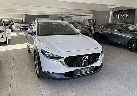 Mazda CX-30 2.0 150PS Exclusive-Line Automatik Matrix