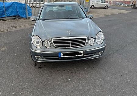 Mercedes-Benz E 240 Avantgarde Super Zustand