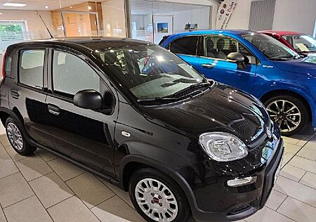 Fiat Panda Base