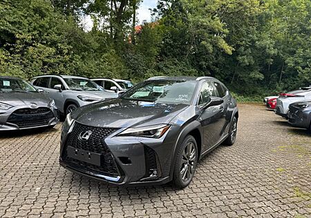 Lexus UX gebraucht kaufen Lexus UX 300h F Sport Design ACC+LED+Navi+SHZ+2xKlima
