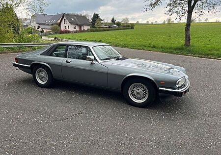 Jaguar XJS V12