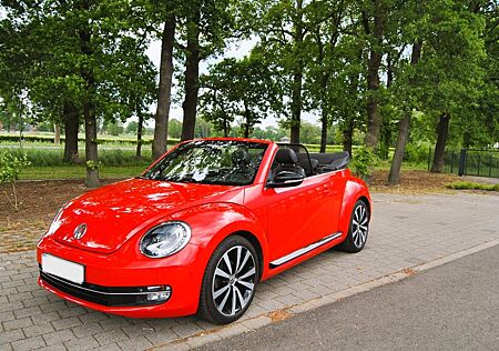 VW Beetle Volkswagen 2.0 TDI Sport Cabriolet, Navi, Leder, WKR