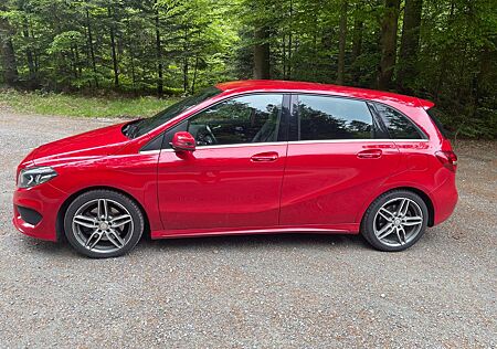 Mercedes-Benz B 250 4MATIC DCT AMG Line AHK,LED, Command