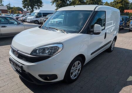 Fiat Doblo Transport von Hunden und anderen Tieren