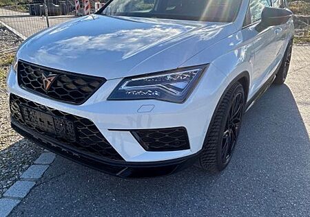Cupra Ateca 2.0 / Sportkat/ Carbon Ansaugung