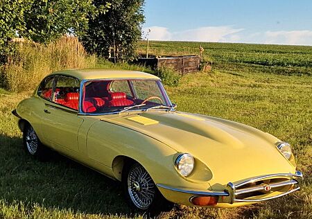 Jaguar E-Type 1 serie 4,2 2+2 rv.1968 NACH RESTAURATION