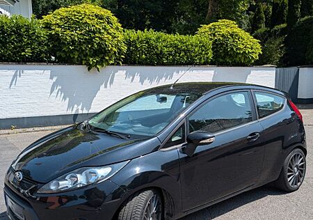 Ford Fiesta 1,25 | 8fach | Zahnriemen + WP NEU | TÜV