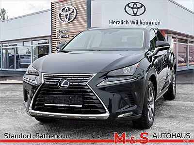 Lexus NX 300 E-Four