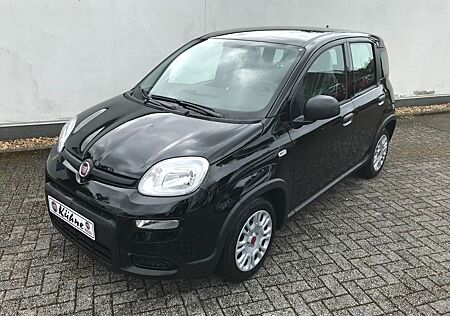 Fiat Panda MY24 1.0 GSE Hybrid Klimaanlage