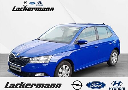 Skoda Fabia Active Plus 1.0 Navi Klima Allwetter