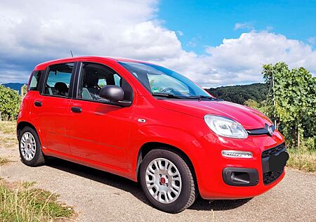 Fiat Panda 1.0 GSE Hybrid - *Klima*