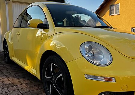 VW Beetle Volkswagen